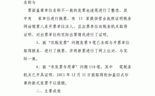  发票整改报告模板「发票整治工作情况汇报」