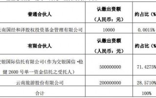 出资比例股权比例 出资股份范文模板