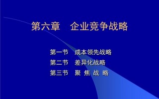 竞争领导ppt模板,竞争领导ppt模板图片 