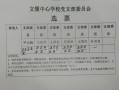 党支部换届选举选票模板的简单介绍