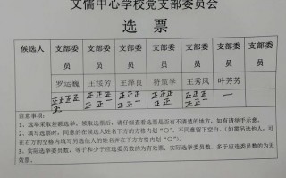 党支部换届选举选票模板的简单介绍