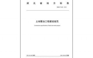 土地整治工程建设标准编写规程-土地整治技术标书模板