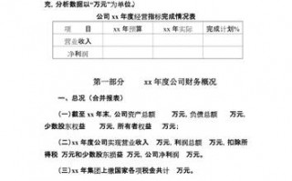 财务报告模板八百字左右 财务报告模板八百字