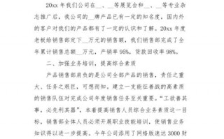 销售公司年度总结模板_销售公司年度总结怎么写