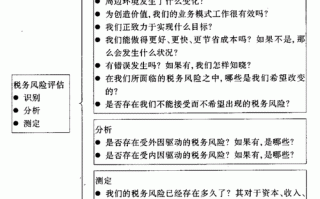 企业税务风险评估模板_企业税务风险评估方法