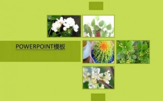 植物ppt素材