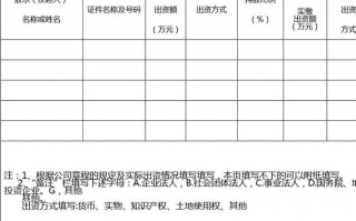  出资人信息模板「出资人信息写什么」