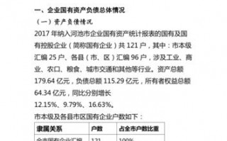 企业国有资产报告模板