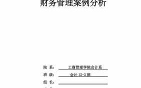 财经案例大赛案例分析模板_财经案例大赛案例分析模板范文