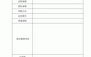 网络广告实训报告模板_网络广告策划实训报告