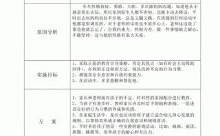  个别教育计划模板「个别教育计划和总结」