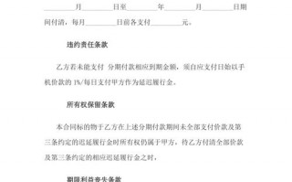 支付系统开发合同模板（支付系统开发合同模板怎么写）