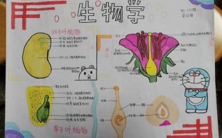 生物手抄报模板简单又漂亮 新学期-生物手抄报模板简单又漂亮