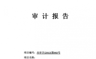 请求审计的报告模板图片-请求审计的报告模板