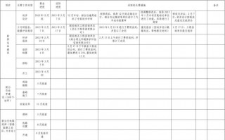  专项行动进度表模板「专项行动总结报告怎么写」