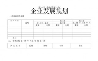 提升业务发展计划模板