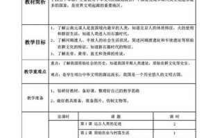 历史教案表格模板图片