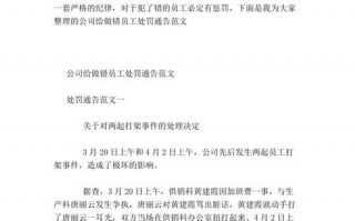 违反错误处罚公告模板怎么写