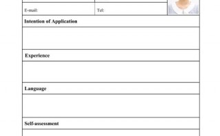  申请简历模板英语「个人申请英文」