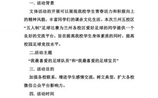 投票活动策划案模板,投票策划方案 