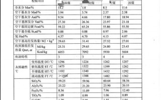 煤炭检测指标模板怎么写-煤炭检测指标模板