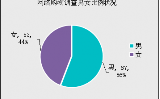 网络消费调查