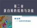  蛋白质ppt模板下载「蛋白质ppt课件 免费」