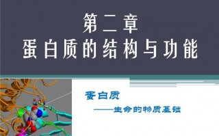  蛋白质ppt模板下载「蛋白质ppt课件 免费」