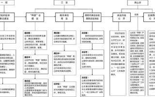 三议两公开的流程图-三议两协商模板