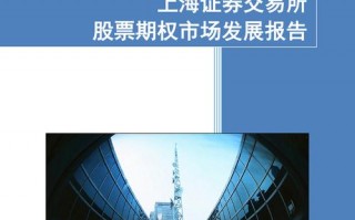  上交所报告模板「上交所报告模板最新」