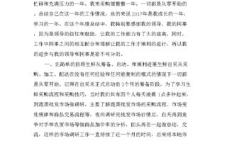 采购述职模板下载_采购述职述廉报告