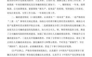 述责述廉报告模板委员_述责述廉情况报告