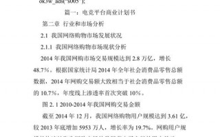 电子商务项目书模板,电子商务项目报告书 