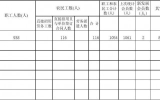 工会报表编制模板（工会报表编制模板怎么写）