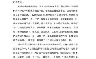 学习部部长竞选模板的简单介绍