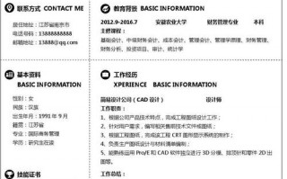 个性简历模板职业圈（个性的简历模板）