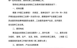 工会联合会建设方案