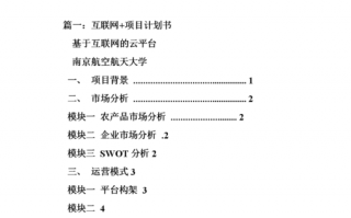 互联网+项目书模板-互联网项目书模板