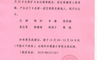  党总支公示模板「党总支委员会以及公示情况意见」