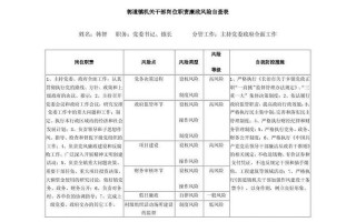  干部选拔廉政意见模板「干部选拔任用廉洁风险防控」