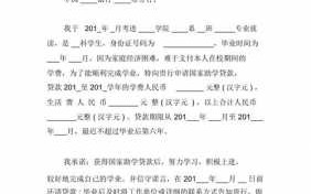 学生贷款说明200字 学院贷款模板