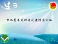  国土窗口青年文明号创建工作ppt模板「全国青年文明号创建情况材料」