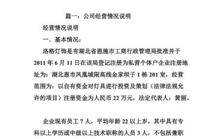  企业经营情况怎么模板「企业经营情况如何写」