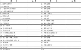 农环项目决算报表模板_农环工作实施方案