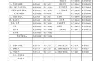 最新中小学会计报表模板_中小学财务会计