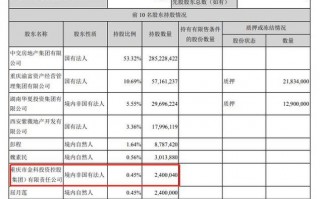  入股明细表模板「入股范本」