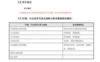 风控管理情况 风控整改报告模板