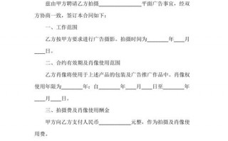 肖像使用协议书参考文本及简要说明