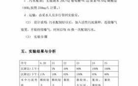 水处理实验设计 水处理实验报告模板