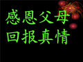 感恩父母回报父母主题ppt模板_感恩父母,真情回报主题班会